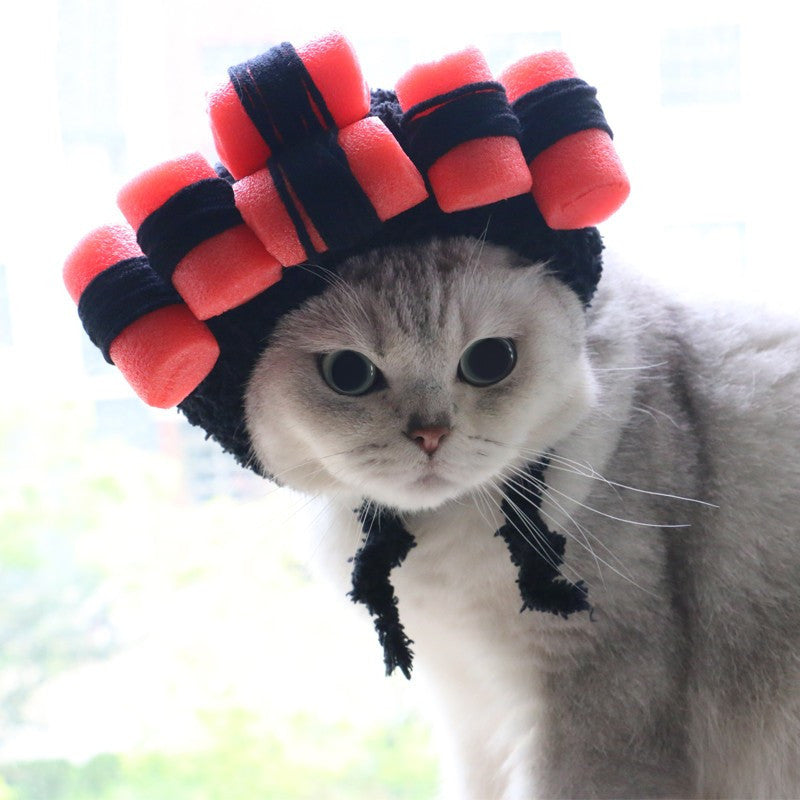 Wig With Curlers Headgear for Cats