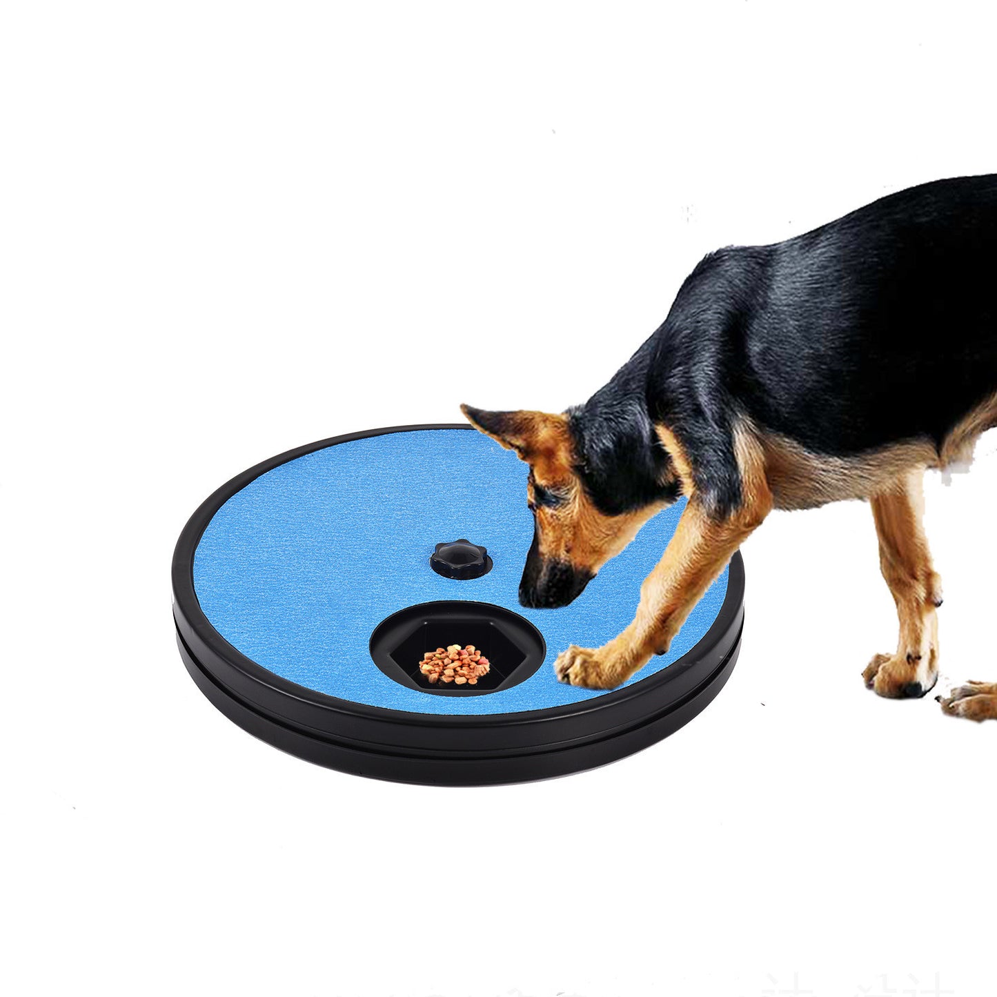 Nail Grinding Slow Feeder for Pets