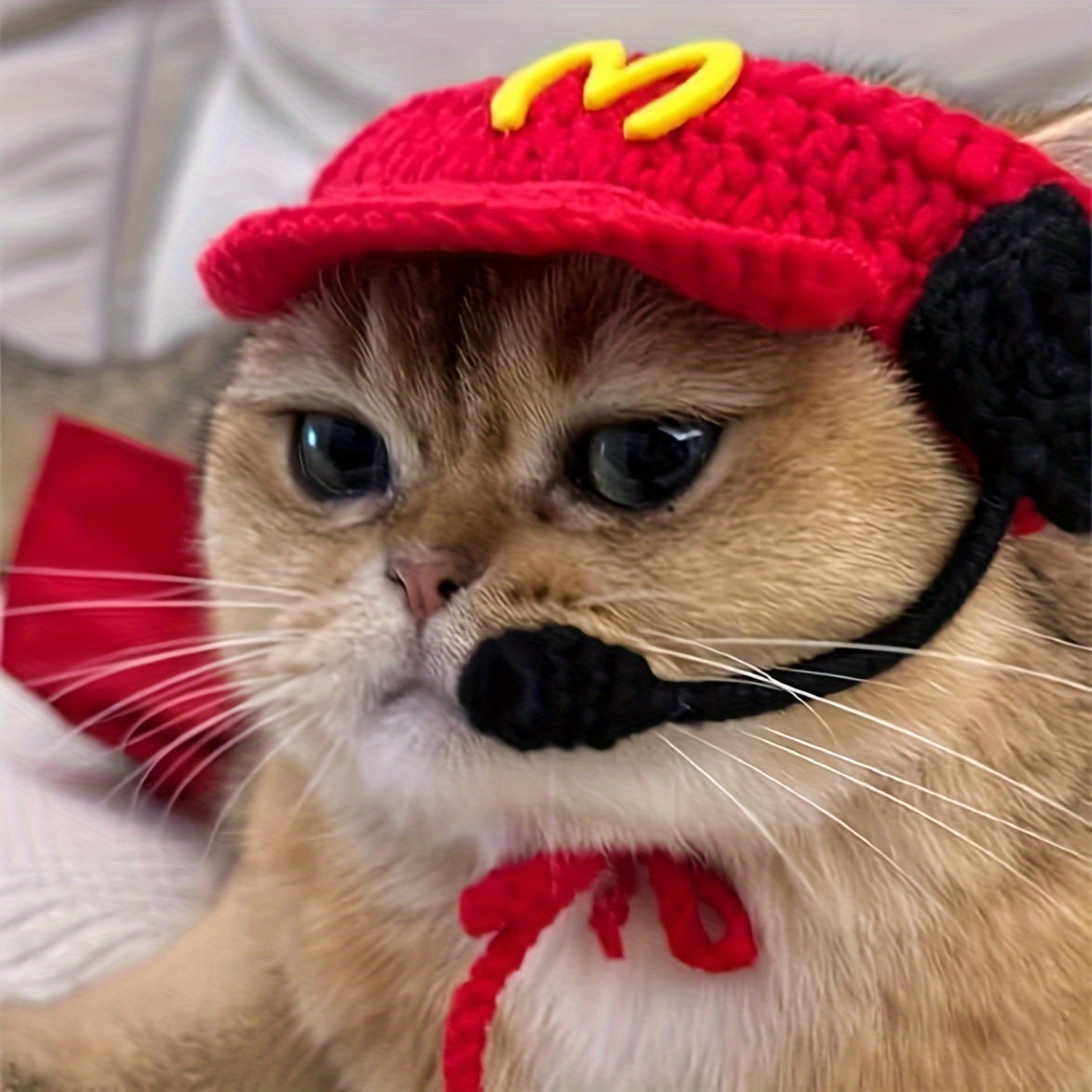 Knitted Small Pet Fast Food Worker Costume