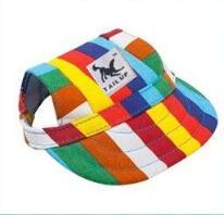 Fashionable Oxford & Dog Costume Hat