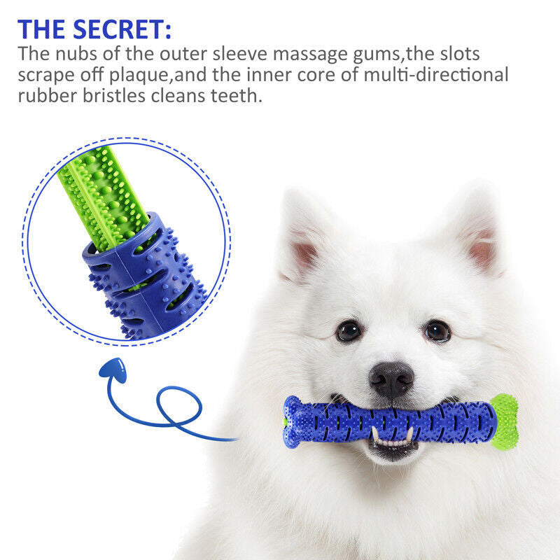 Durable Teeth Cleaning Brushing Toy