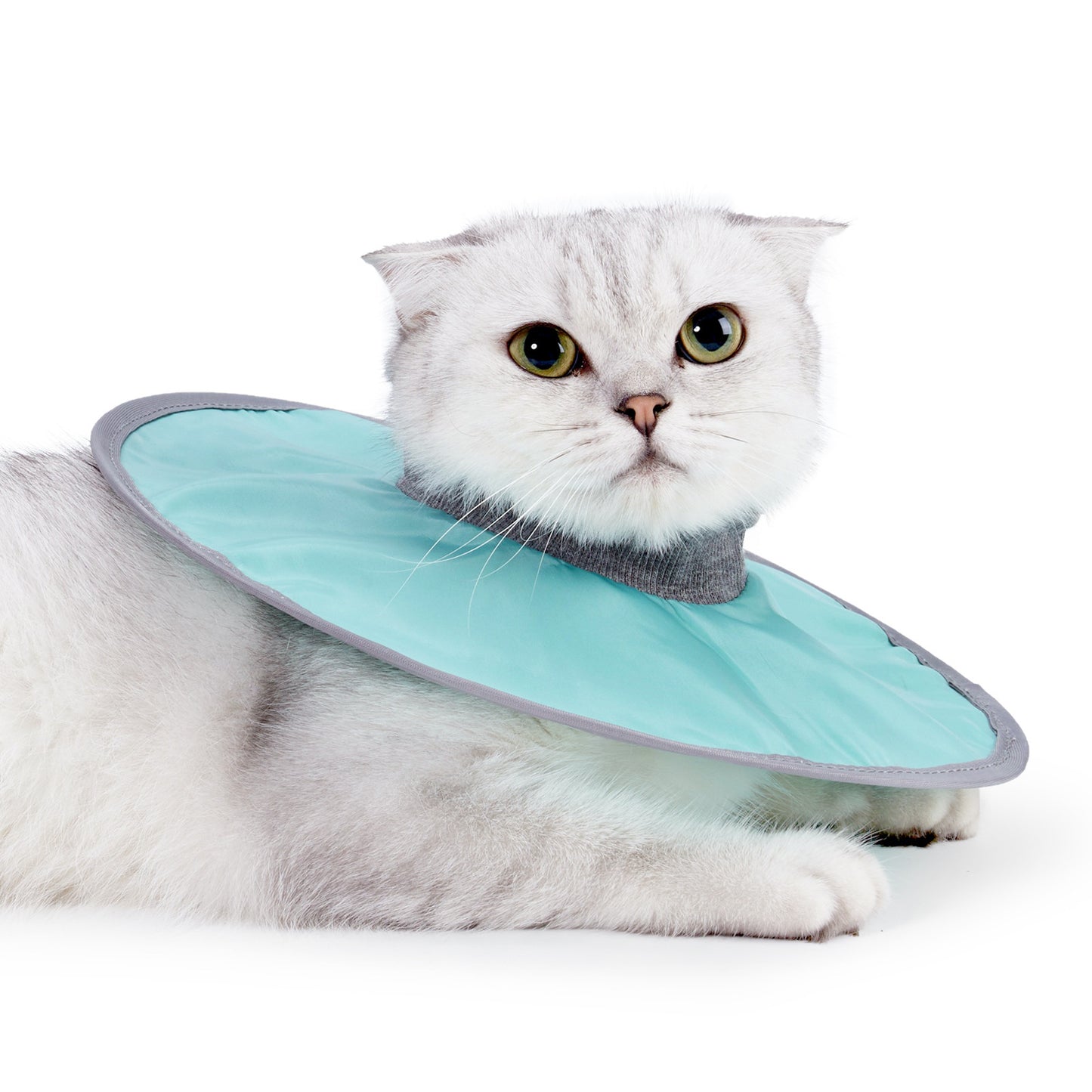 Cloth Anti-Itch Circle Collar