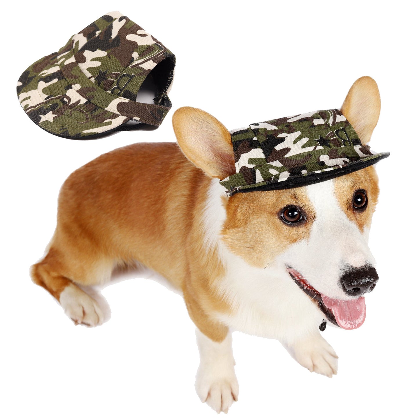 Fashionable Oxford & Dog Costume Hat