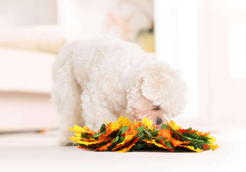 The Autumn Leaves Snuffle Mat