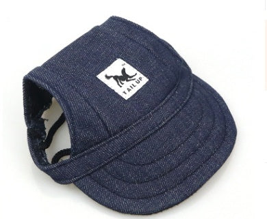 Fashionable Oxford & Dog Costume Hat