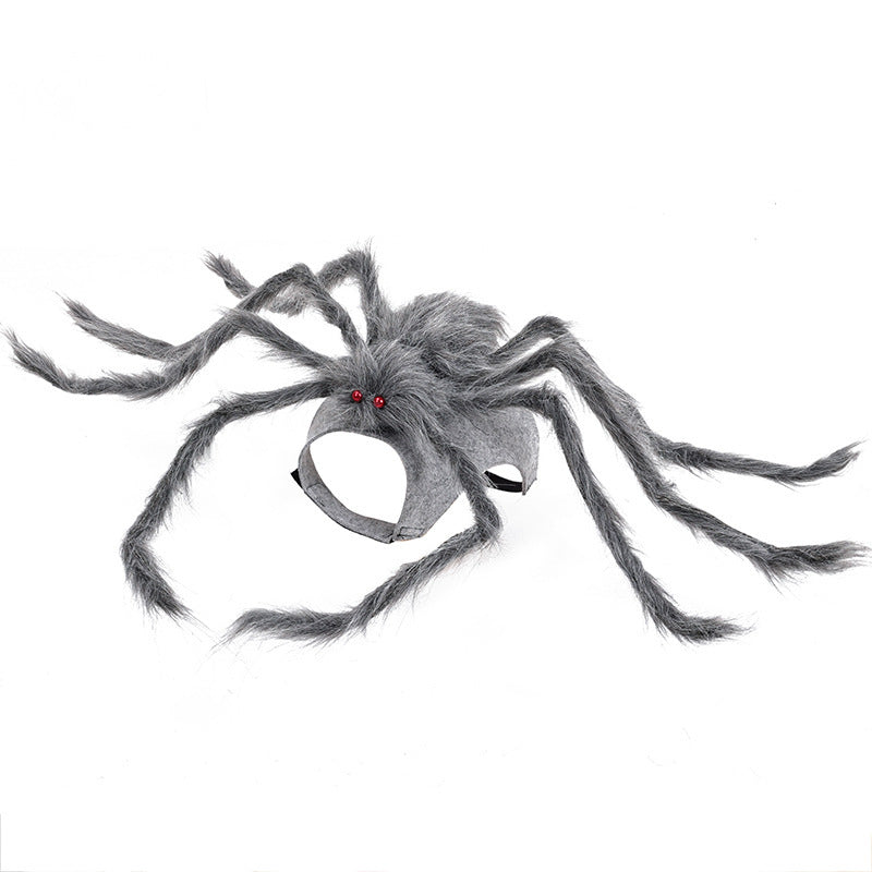 Halloween Creepy Spider Costume