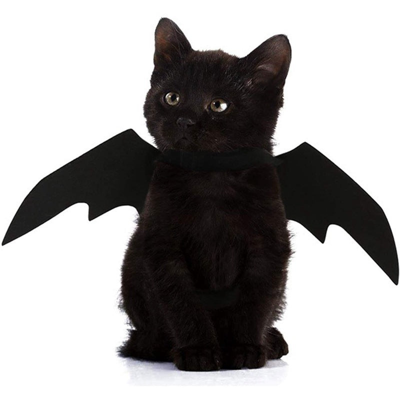 Halloween Pet Bat Wings Costume