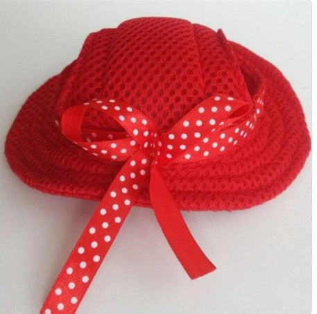 Fashionable Oxford & Dog Costume Hat