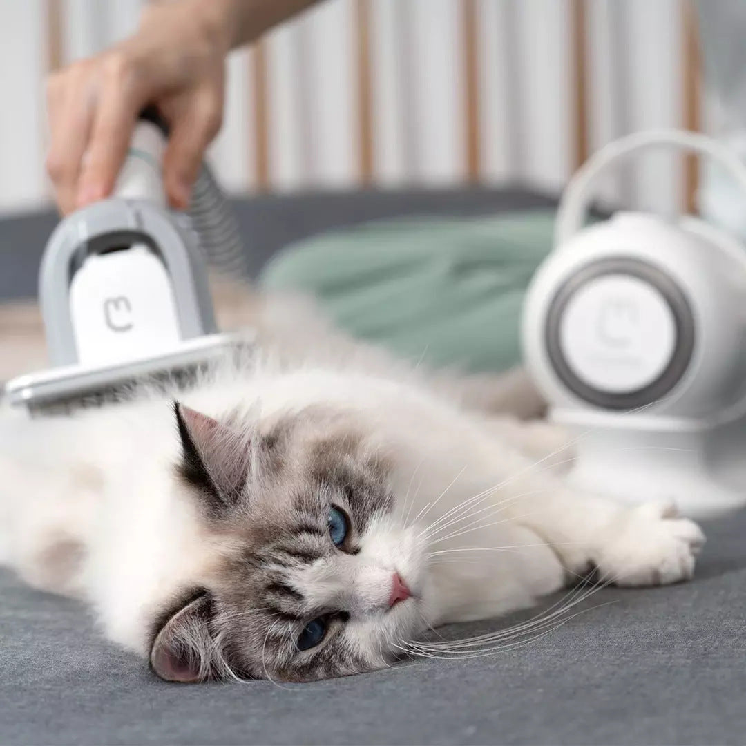 Pet Multifunctional Beauty Grooming Kit
