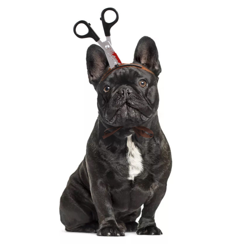 Halloween Headgear for Pets