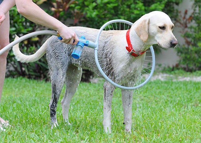 Fully Automatic 360 Degree Pet Bathing Ring