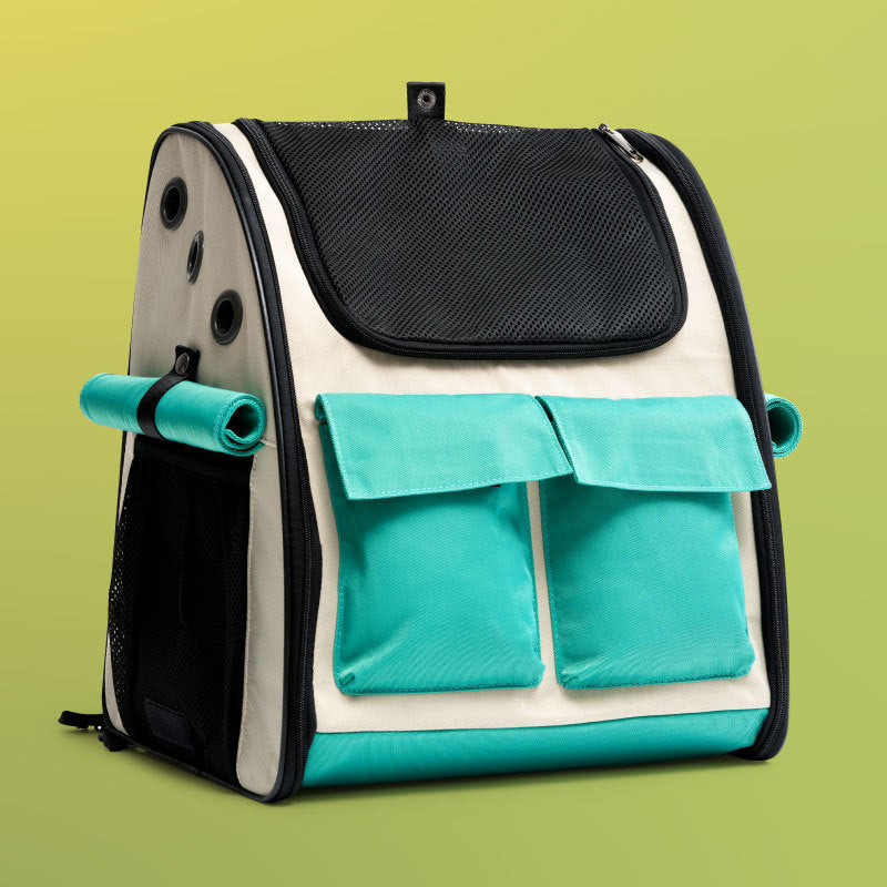 Fold Up Takeaway Cat Outing Bag