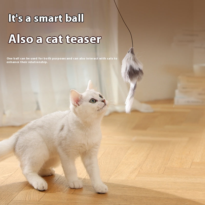 Electric Toy Mouse Teaser Ball