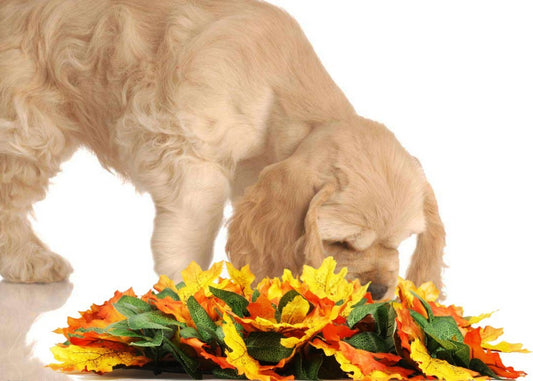 The Autumn Leaves Snuffle Mat