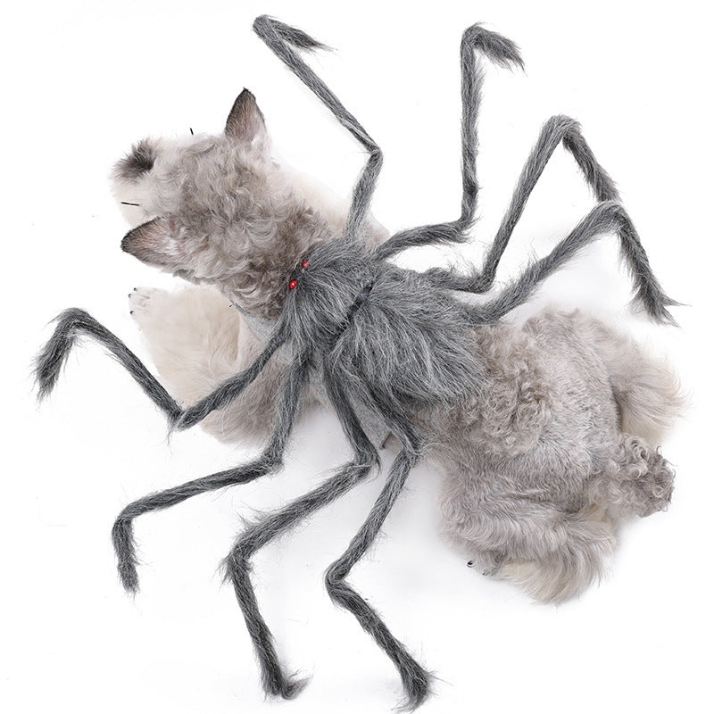 Halloween Creepy Spider Costume