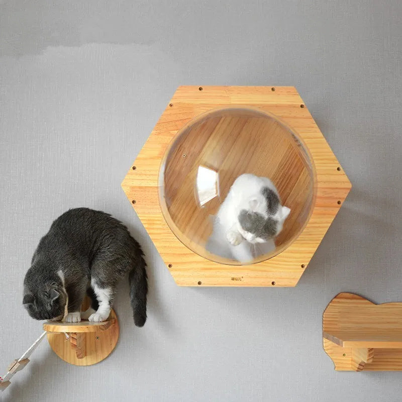 Hexagonal Solid Wood Luxury Wall Steps for Cats