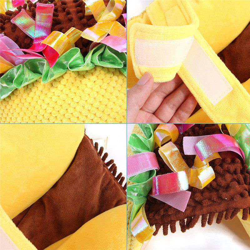 Pet Taco Costume for Halloween