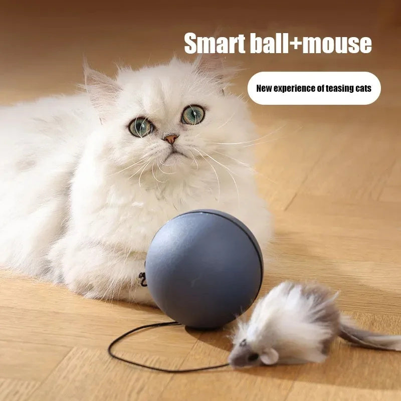 Electric Toy Mouse Teaser Ball
