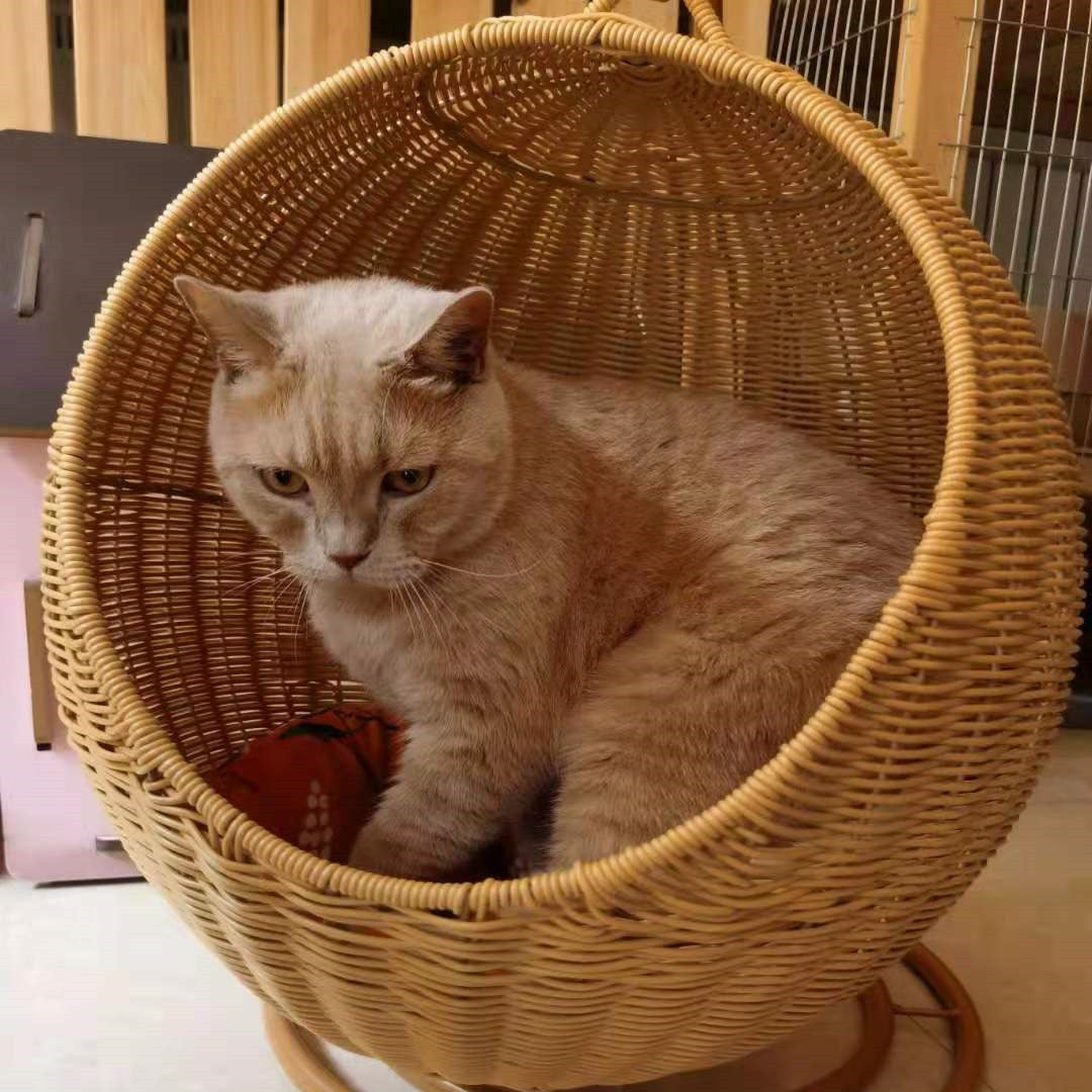 Wooden Round Cat Cradle