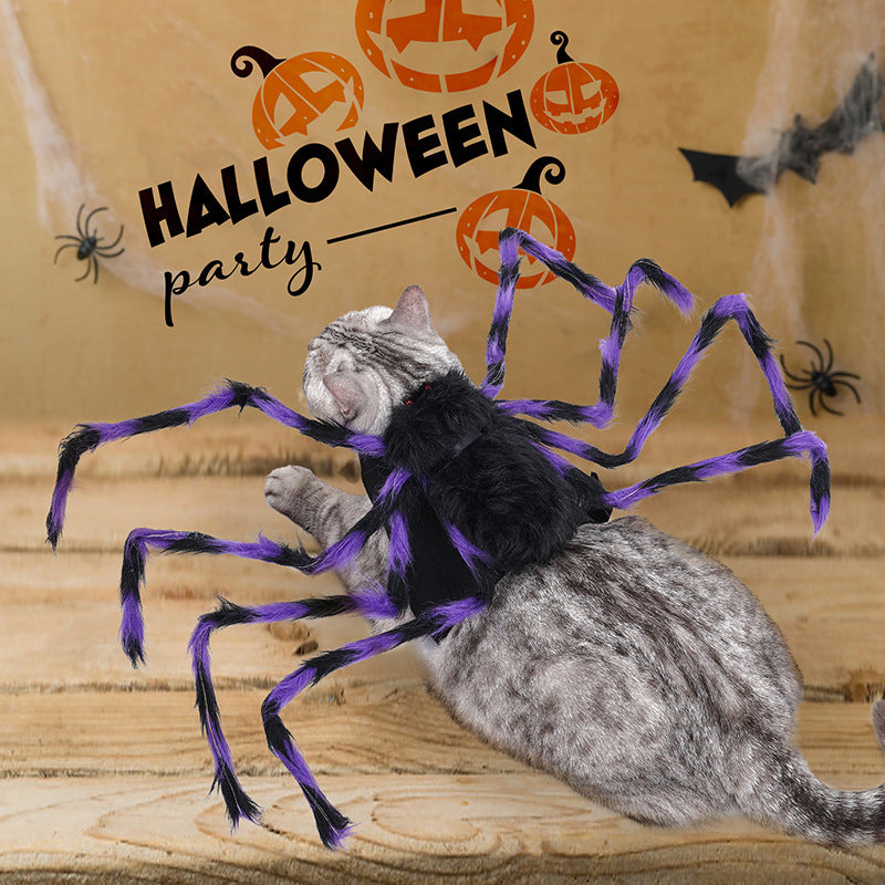 Halloween Creepy Spider Costume