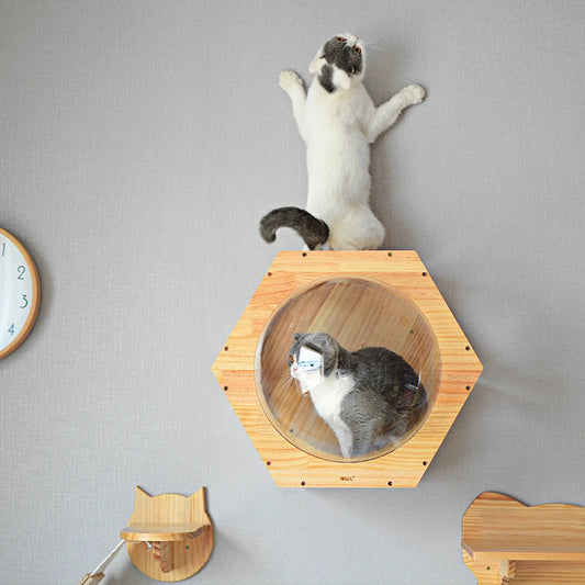 Hexagonal Solid Wood Luxury Wall Steps for Cats