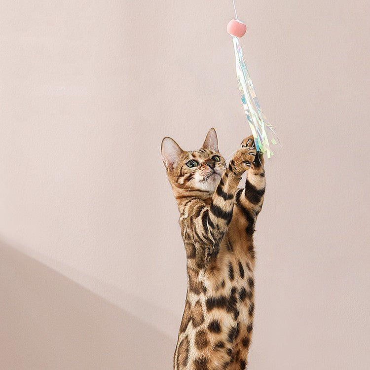 Retractable Chewable Cat Toy Stick