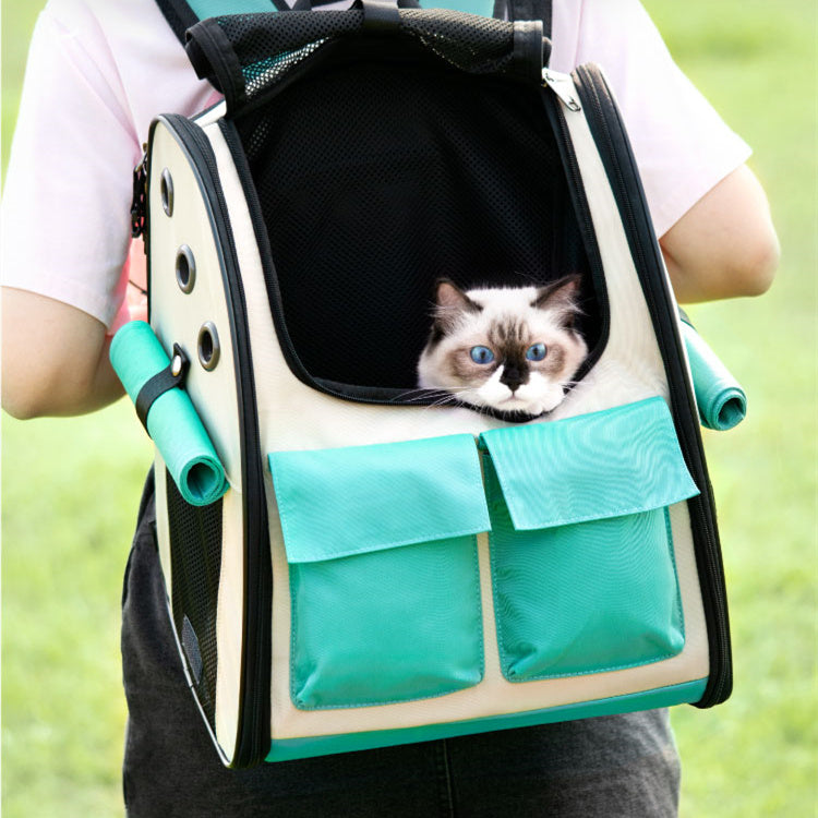 Fold Up Takeaway Cat Outing Bag