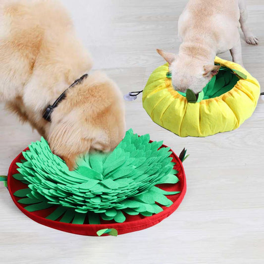 Dog Food and Treat Snuffle Pad Puzzle