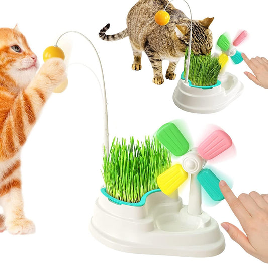 Interactive Indoor Cat Toy With Grass