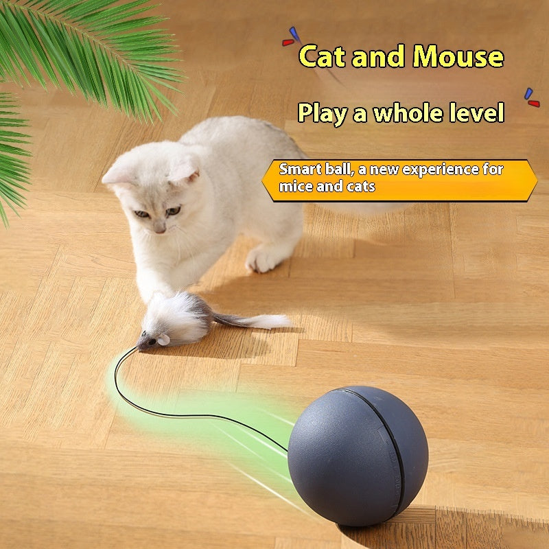 Electric Toy Mouse Teaser Ball
