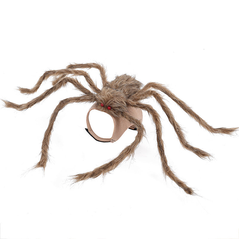 Halloween Creepy Spider Costume