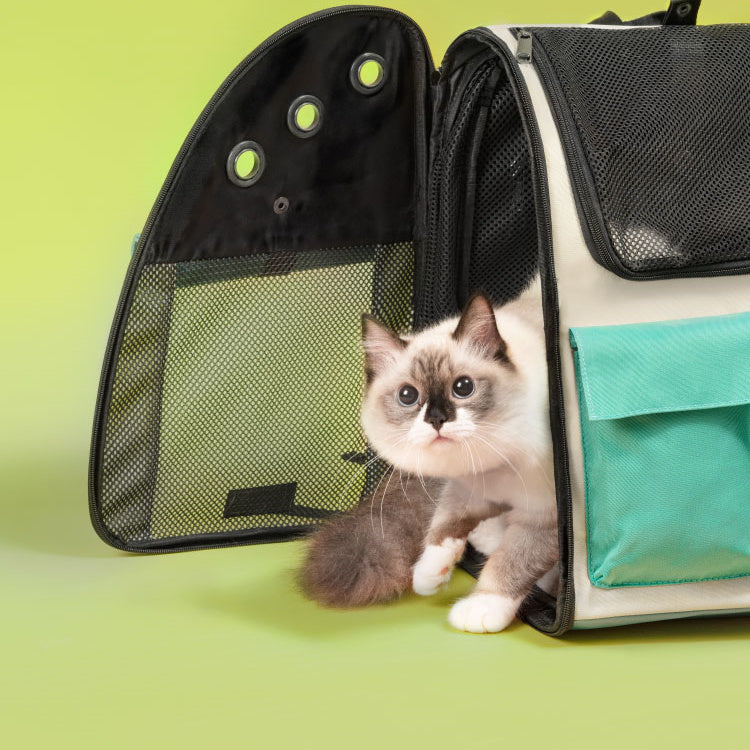 Fold Up Takeaway Cat Outing Bag