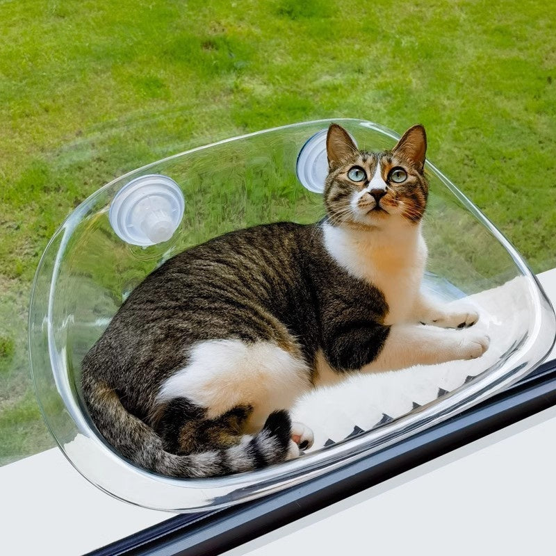 Suction Cup Window Glass Hanging Suspension Cat Hammock