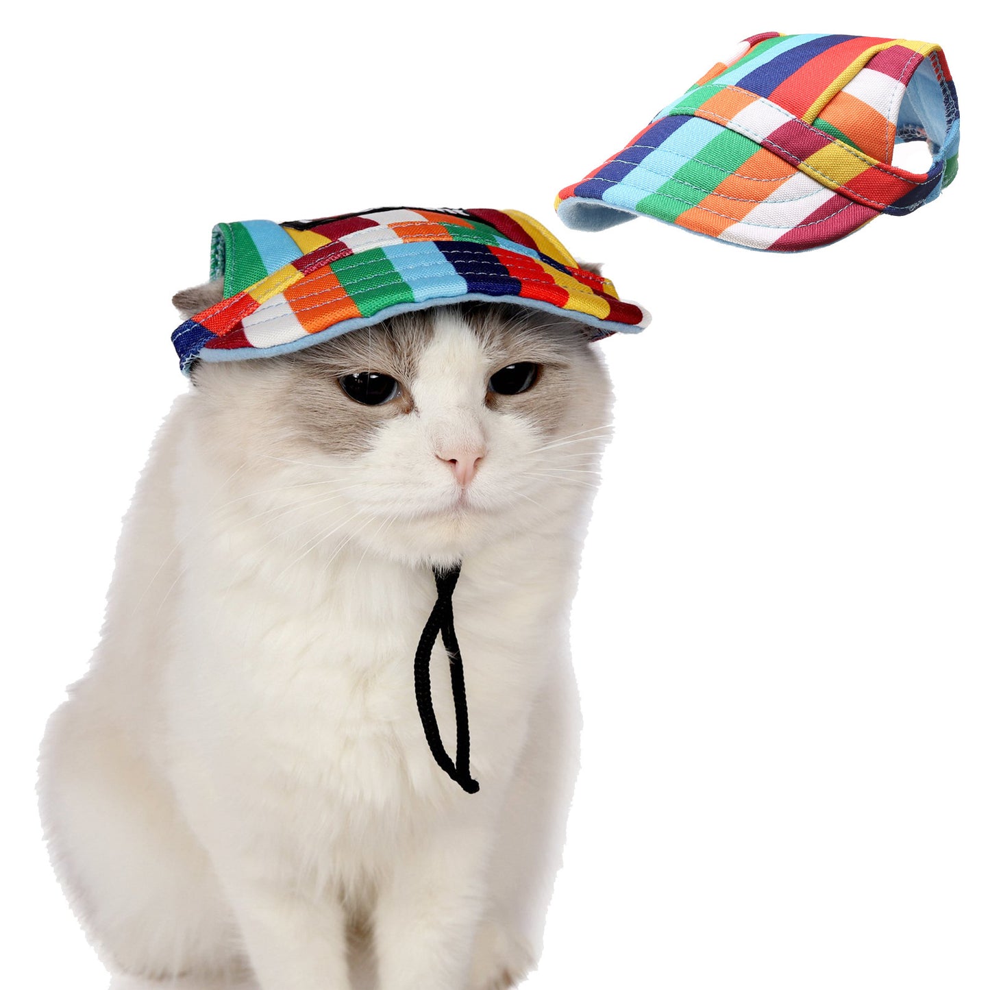 Fashionable Oxford & Dog Costume Hat