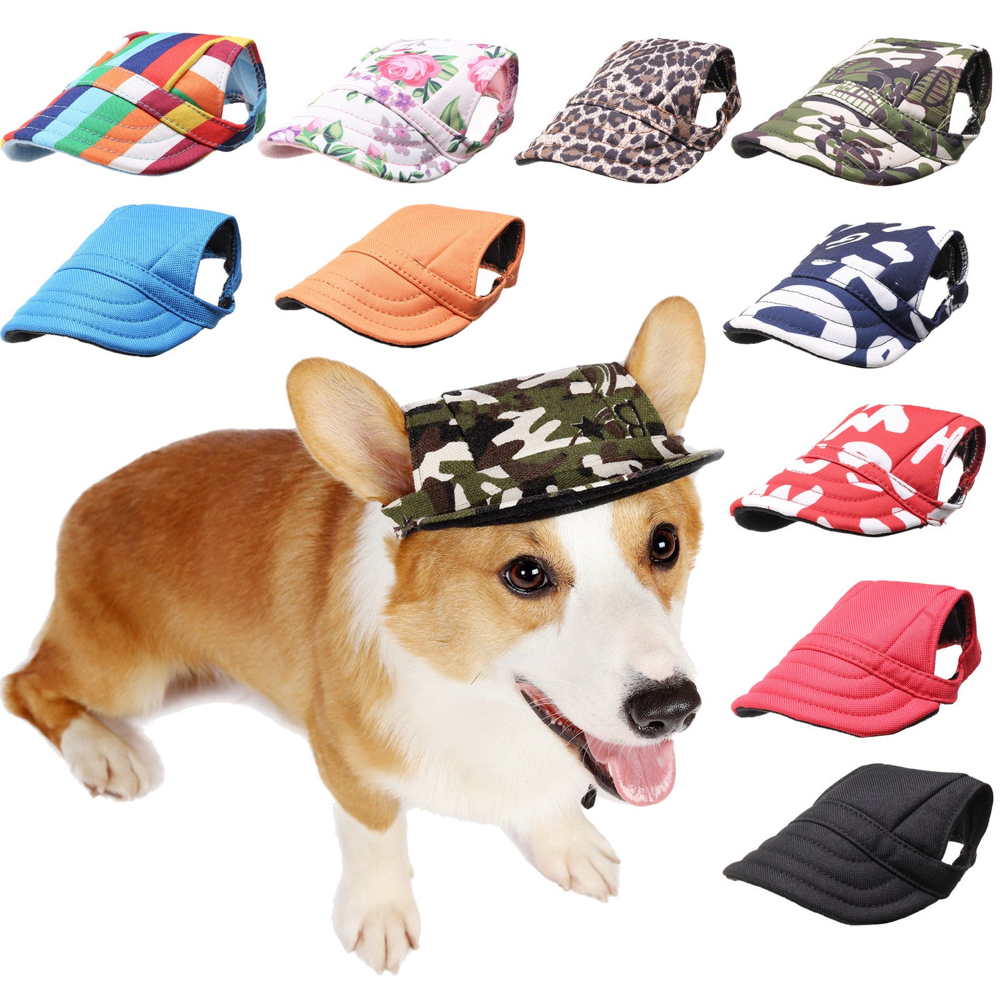 Fashionable Oxford & Dog Costume Hat