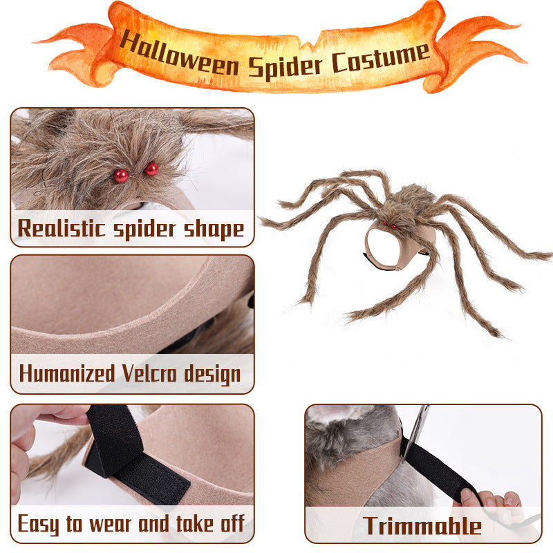 Halloween Creepy Spider Costume