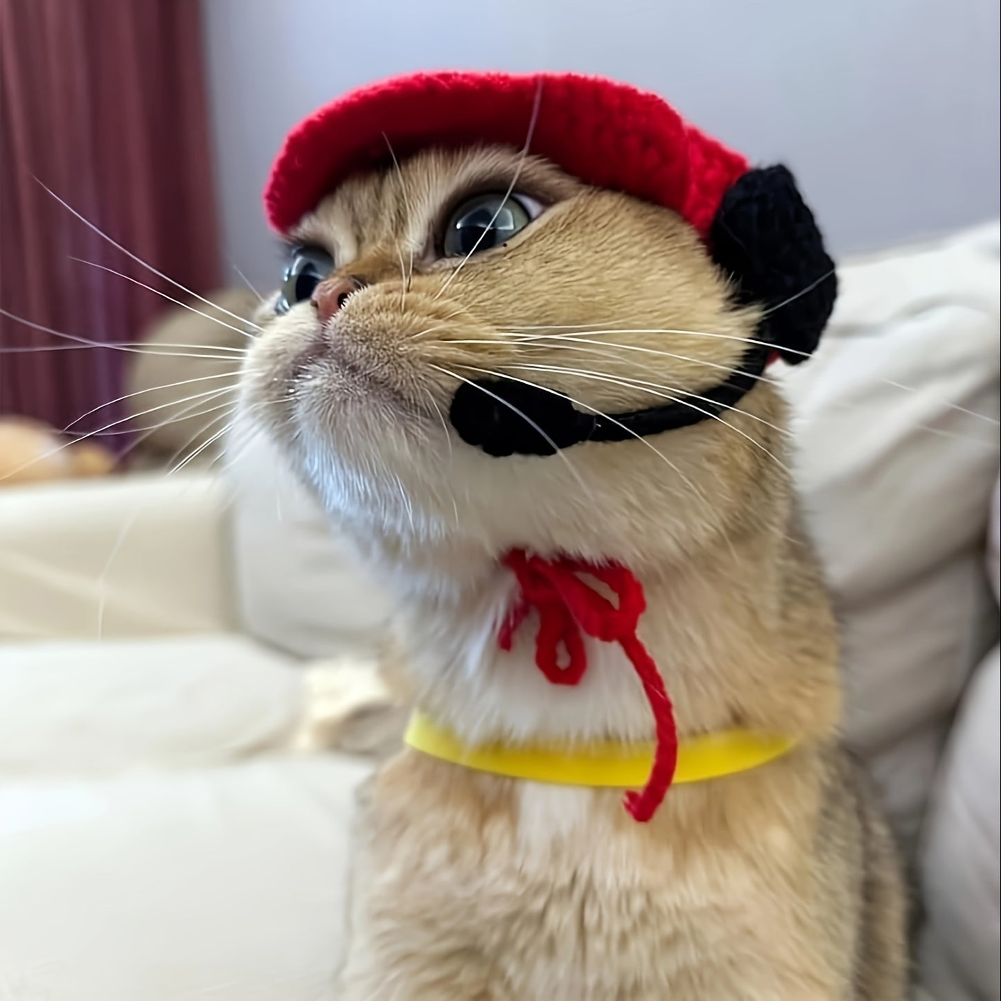 Knitted Small Pet Fast Food Worker Costume